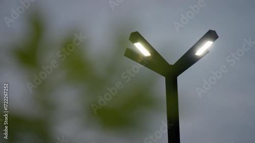 Contemporary Y-shaped street lamp with dual LED fixtures glowing at dusk against a muted overcast sky, framed by blurred green foliage, emphasizing minimalist urban lighting