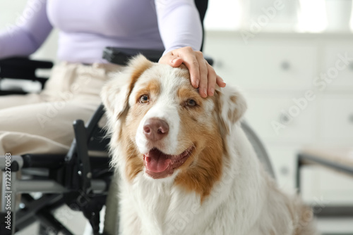 Service dog near woman in w...