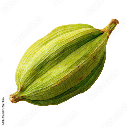 Wallpaper Mural Close-up of a light-green, oblong seed pod.  Its skin is ridged and textured, with a slightly tapered shape Torontodigital.ca