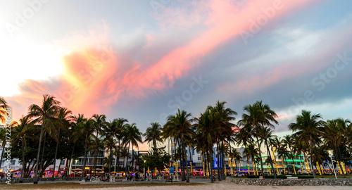Fototapeta Naklejka Na Ścianę i Meble -  Summer sunset with palm tree silhouette. Exotic nature. Palm tree. Summer vacation in Miami south beach, Florida. Palm tree on sunny day. Tropical beach in Miami