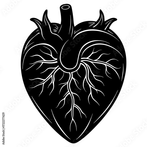 Stylized black and white anatomical heart with intricate branching veins and arteries