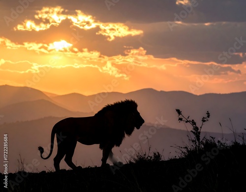 Majestic lion silhouette at sunset over mountains
