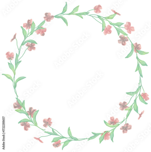 Isolated vector illustration. Round floral decor or frame. Wreath of wild flowers. Gillyflower or carnation. Matthiola bicornis. Clove blossom.