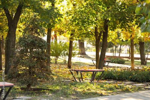 Beautiful autumn park with ...