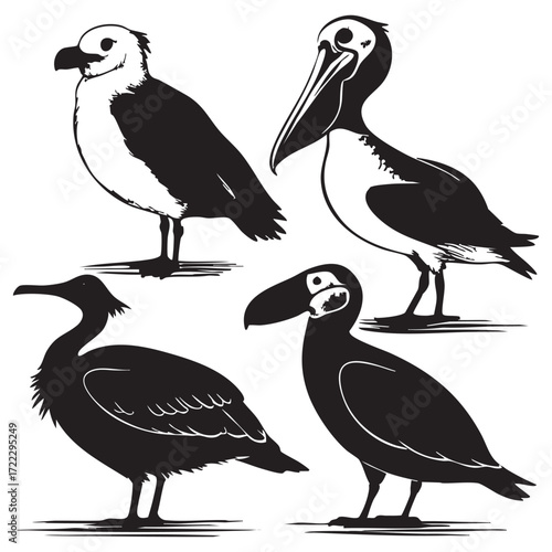 A collection of wild cartoon birds with a long beak and black feathers are isolated