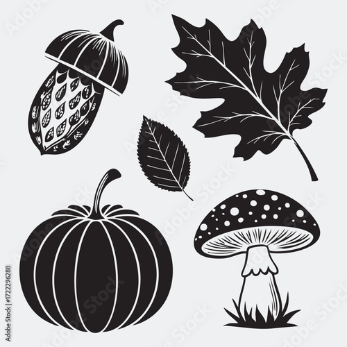 A colorful vector illustration of a red toadstool mushroom and brown autumn leaves in a green