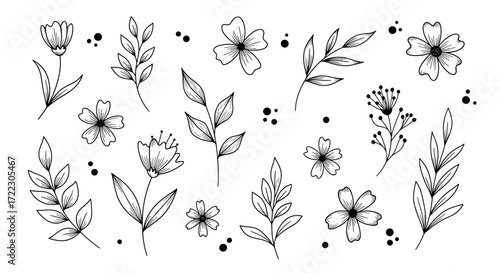 Collection of delicate hand-drawn floral elements and botanical illustrations, perfect for decorative design projects and artistic compositions