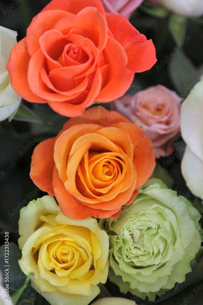 Naklejka premium bunch of roses
