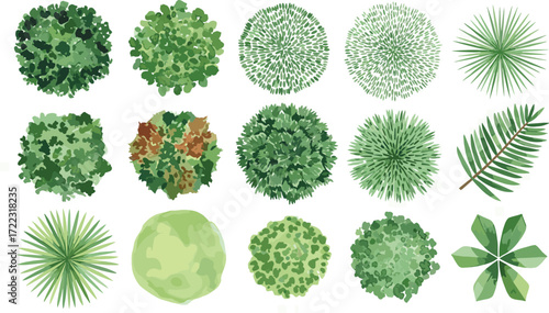 Top View Collection of Lush Green Foliage Trees, Shrubs, and Plants for Design Projects