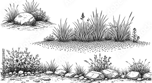 Detailed pen and ink illustrations of various grasses, shrubs, and rocks, perfect for landscaping
