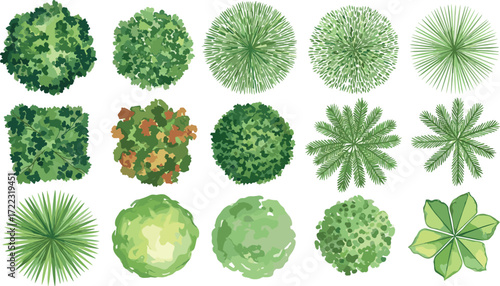 A diverse collection of green tree and plant symbols from a top-down perspective, isolated for landscape design and architectural plans
