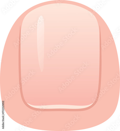 A clear anatomical illustration of a human toenail, showing nail plate, surrounding cuticle, and realistic color tones