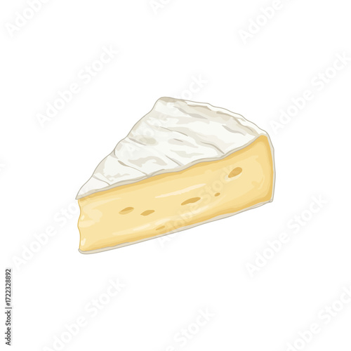 Realistic Vector Illustration of Brie Cheese with Slice Cut Out

