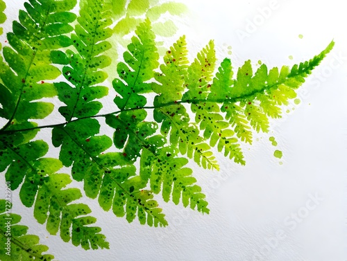Bright green fern leaf with watercolor effect shows delicate details against a clean white background today.