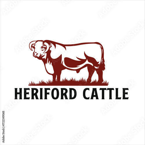 Vector art of hereford cattle logo