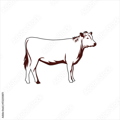 Illustration of a cow