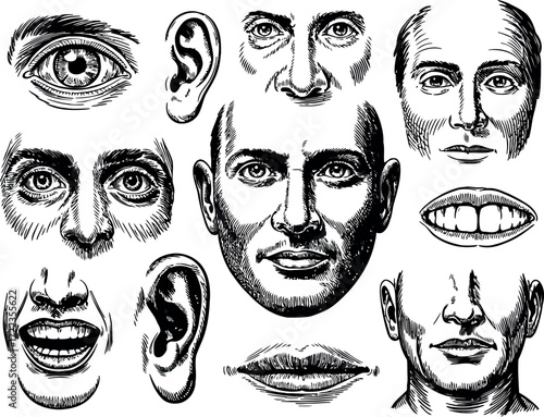 The image presents a collection of human facial features, meticulously drawn in a detailed, engraved style.