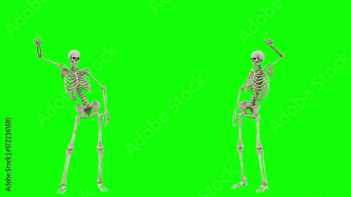 skeleton dancing 3d loop animation green screen