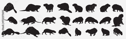 apybara beaver animal silhouette set