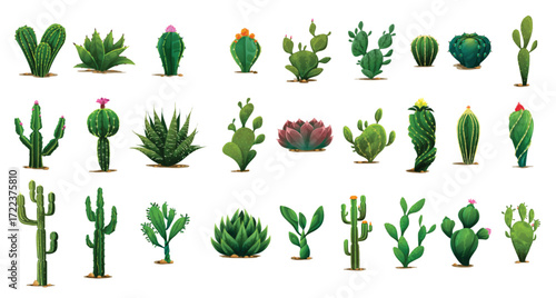 Cartoon prickly succulent cactus plants flowers 