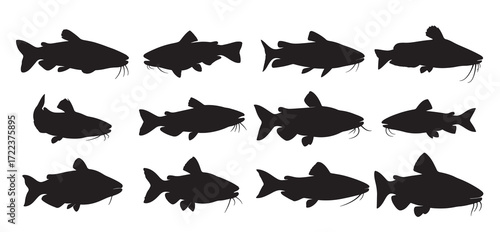 cat fish silhouette white background