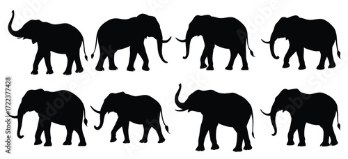 elephant silhouette compilation wild animal design isolated