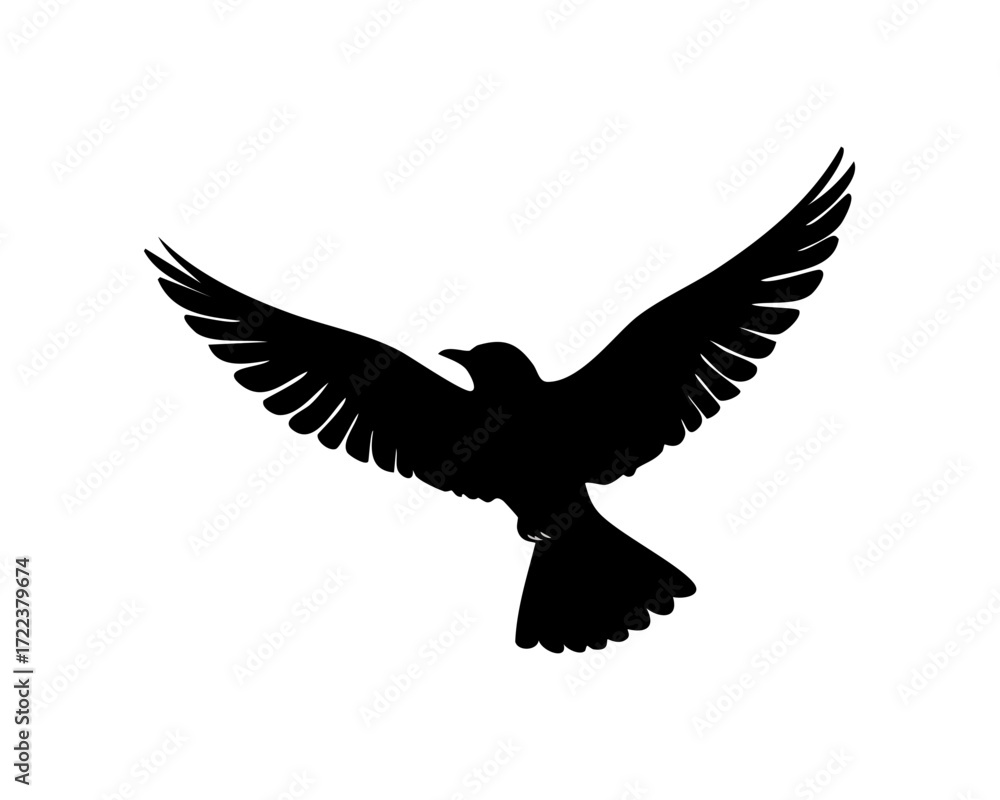 Fototapeta premium Silhouette of a bird