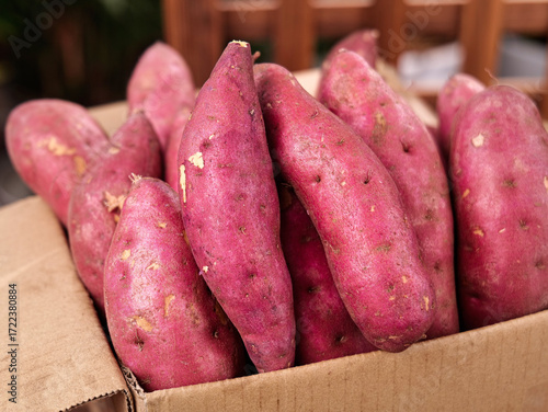 Fresh Purple Sweet Potatoes in Cardboard Box at Farmers Market Display