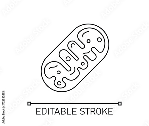 Editable black mitochondria icon vector