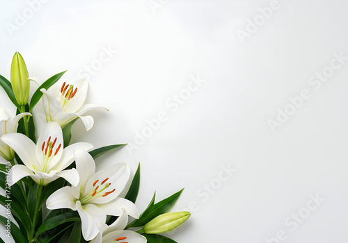 Elegant White Flowers and Lush Green Leaves Bordering a Clean White Space, creating a serene and peaceful botanical arrangement ideal for backgrounds.