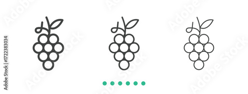 Grapes icon. Thin line icon vector