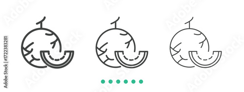Melon icon. Thin line icon vector