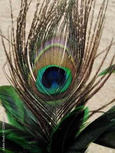 Artificial peacock feather 