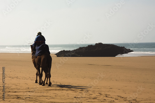 Moroccan man riding camel on Taghazout Beach surf spot