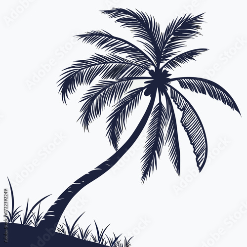Silhouette of a palm tree and grass on a tropical island, creating a serene and idyllic scene