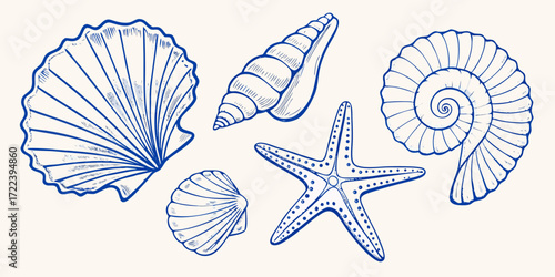 Collection of hand drawn blue line art seashells and starfish on a light background