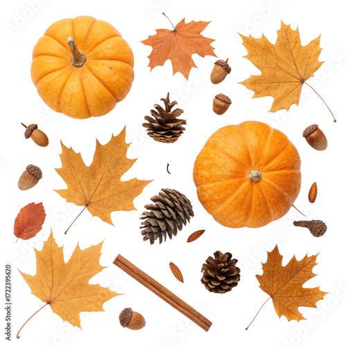 Autumn Flat Lay with Pumpkins, Maple Leaves, Pine Cones, and Acorns on Transparent Background