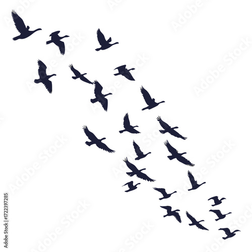 A flock of dark blue geese flying in a v formation against a white background