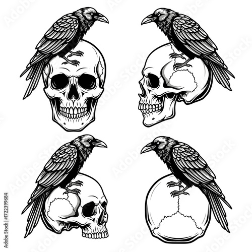 Black and white illustration of ravens on skulls.
