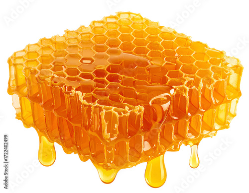 honeycomb on white background