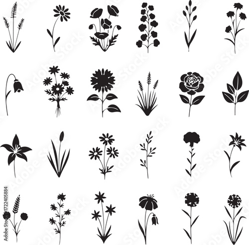 Floral Symphony: A collection of diverse, beautifully detailed silhouette-style illustrations, offering a visual feast of botanical designs, showcasing the intricate beauty of nature's floral world.