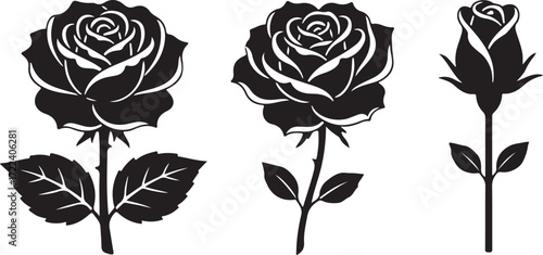Rose Silhouette Collection: A classic set of elegant rose silhouettes, perfect for adding a touch of sophistication and timeless beauty to any creative project.