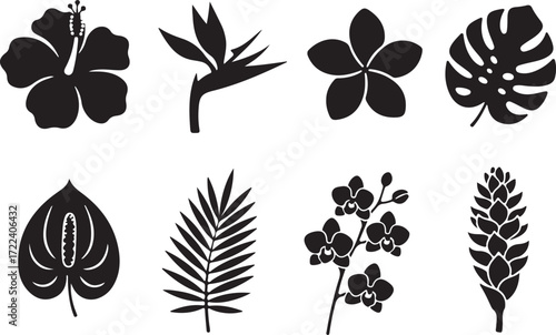 Floral Silhouettes Collection: An artistic display of eight exquisite botanical silhouettes in monochromatic elegance, each a striking depiction of flora and fauna.