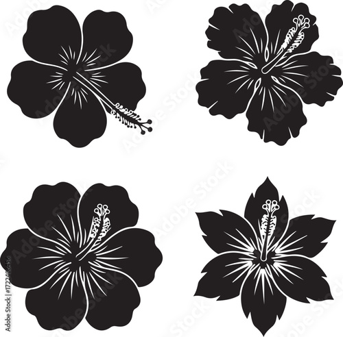 Hibiscus Floral Silhouette: Four elegant hibiscus flower silhouettes with detailed stamens and petals, offering a versatile and timeless graphic resource for diverse creative projects. 