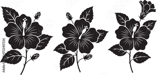 Hibiscus Floral Display: The elegant beauty of tropical hibiscus flowers is captured in a graphic image. Showcasing the intricate detail of petals and leaves in a stunning display.