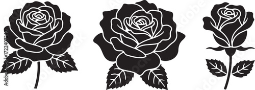 Elegant Rose Silhouette: An elegant silhouette of three roses showcase timeless beauty of botanical design and a touch of grace and sophistication in a captivating display of floral elegance.