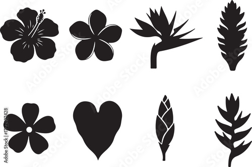 Silhouette of Botanical Bloom: An array of botanical silhouettes, including hibiscus, plumeria, bird of paradise and other leaves and flora