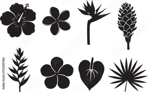Botanical Silhouettes: A collection of diverse botanical silhouettes, capturing the delicate beauty of various tropical flowers and plants, evoking a sense of natural elegance and artistic simplicity.