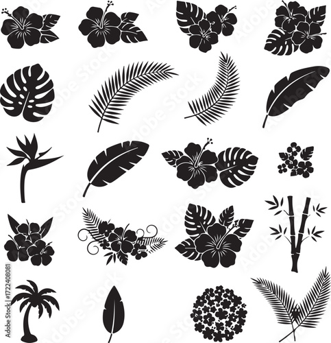 Tropical Flora Silhouettes: An exquisite compilation of tropical flora, expertly rendered in black silhouette, showcases the elegant shapes of leaves, flowers, and plants in a clean.