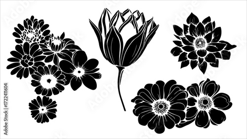 set of black and white flowers, Vector, Woman, Invitation, Decoration, Gift Wrap